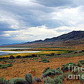 Antelope Island
