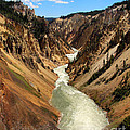 Grand Canyon of Yellowstone