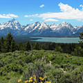 Grand Tetons